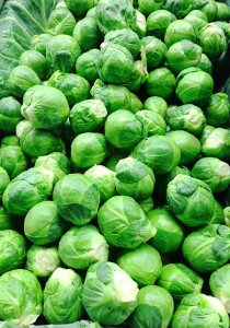 Growing Brussels Sprouts