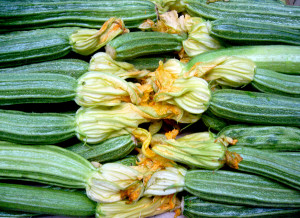 How to grow courgettes